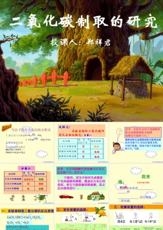 九年级化学二氧化碳制取的研究课件 新课标 人教版 课件