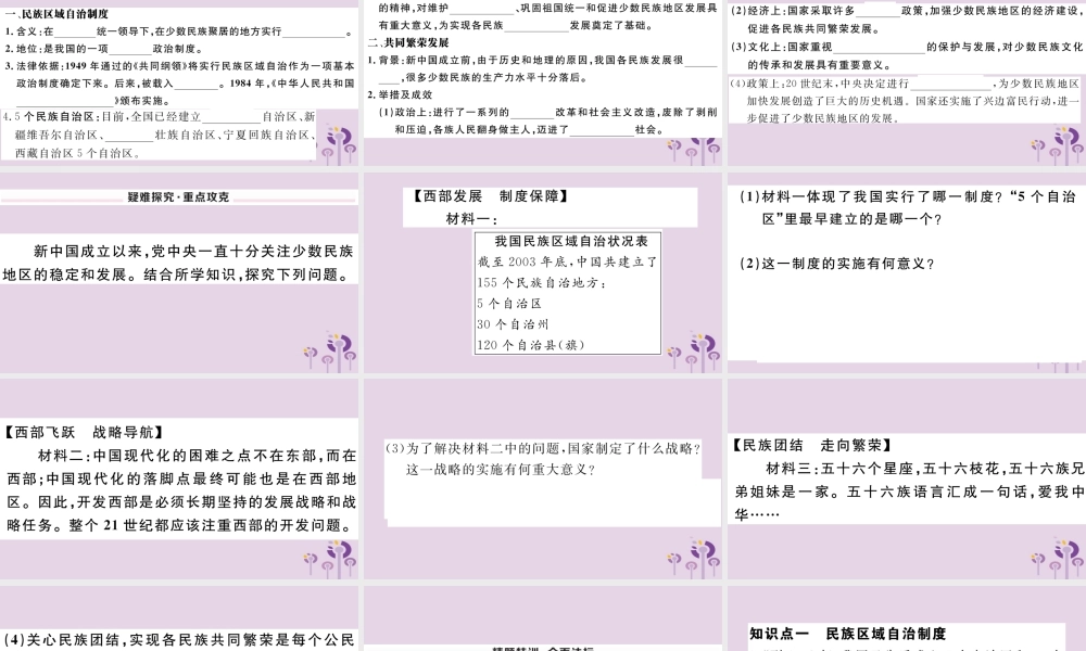 (玉林专版)八年级历史下册 第四单元 民族团结与祖国统一 第12课 民族大团结习题课件 新人教版 课件