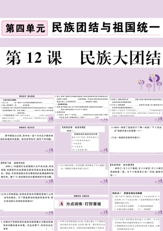 (玉林专版)八年级历史下册 第四单元 民族团结与祖国统一 第12课 民族大团结习题课件 新人教版 课件