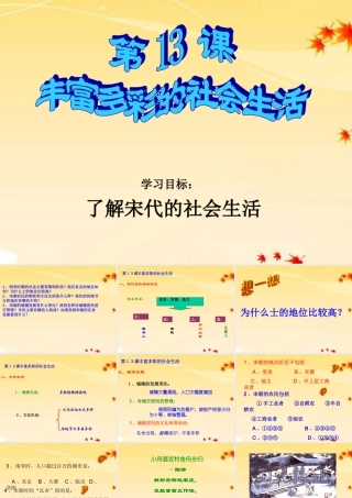 七年级历史下册 第13课(丰富多彩的社会生活)课件1 北师大版 课件