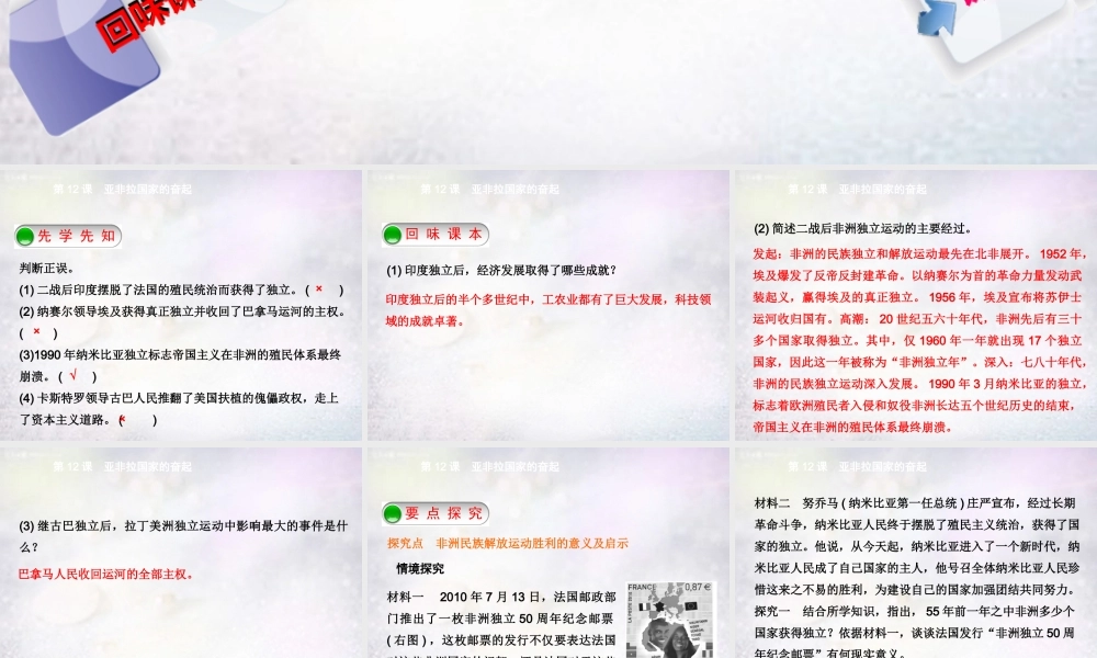九年级历史下册 第12课 亚非拉国家的奋起课件 新人教版 课件