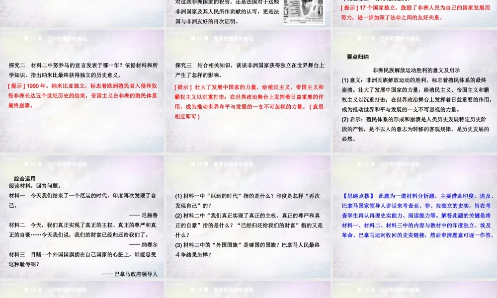 九年级历史下册 第12课 亚非拉国家的奋起课件 新人教版 课件