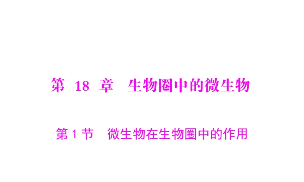 (随堂优化训练)八年级生物上册 第5单元 第18章 第1节 微生物在生物圈中的作用课件 北师大版 课件