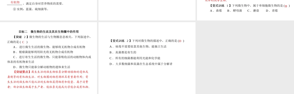 (随堂优化训练)八年级生物上册 第5单元 第18章 第1节 微生物在生物圈中的作用课件 北师大版 课件