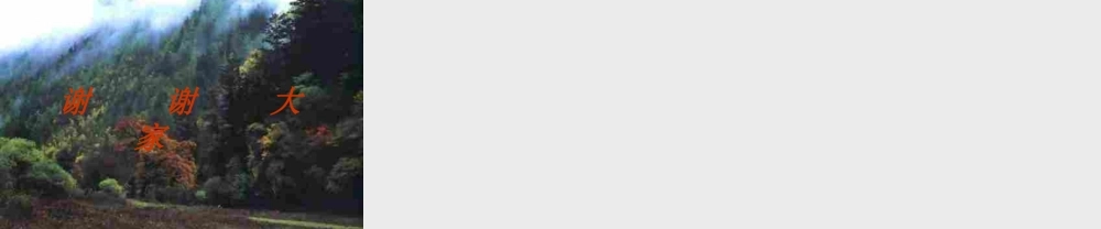 九年级化学上册第五单元课题2 如何正确书写化学方程式课件人教新课标 课件