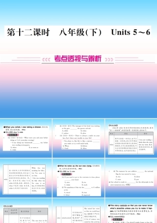 中考英语总复习 第一部分 教材同步复习篇 第十二课时 八下 Units 5 6习题课件