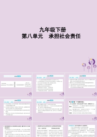 中考道德与法治总复习 九下 第八单元 承担社会责任课件