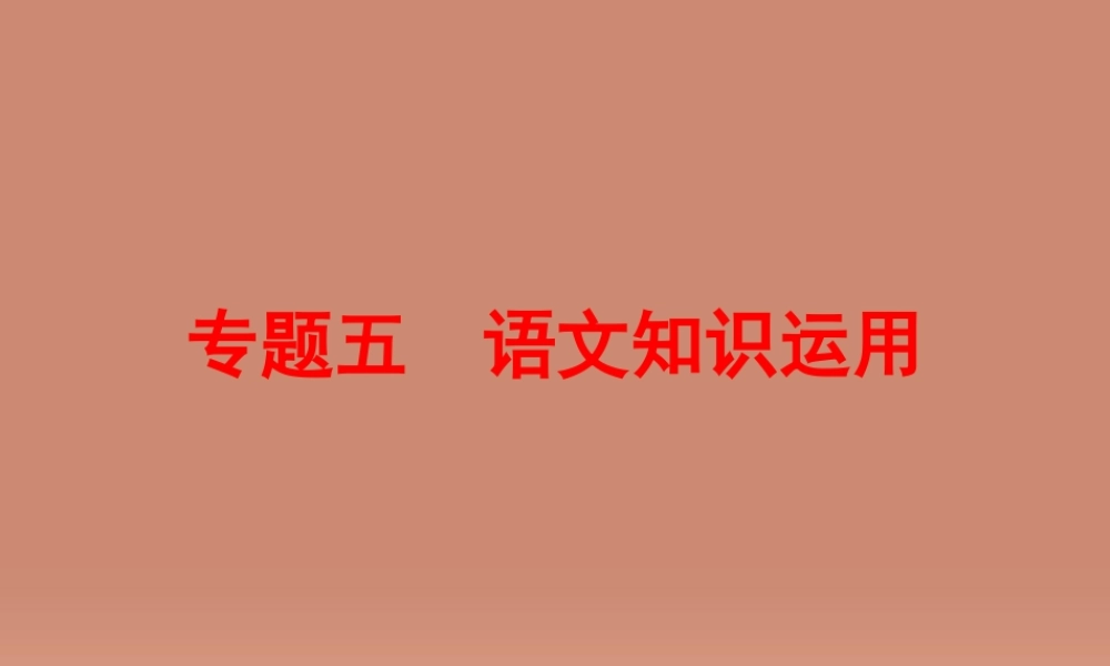 中考语文 第二篇 语文知识积累与运用 专题五 语文知识运用讲解课件