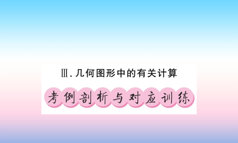 (课标版通用)中考数学总复习 第三轮 大专题突破 挑战满分 大专题(三)习题课件
