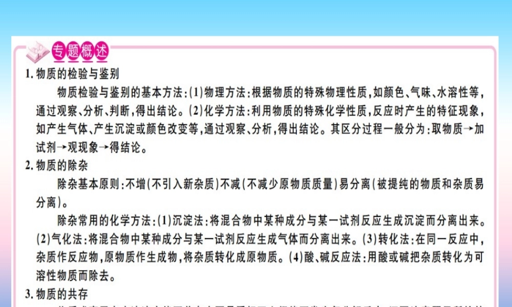 九年级化学下册 专题五 物质的检验与鉴别、除杂与共存习题课件 (新版)新人教版 课件