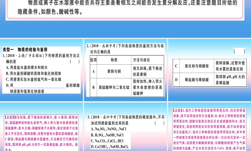九年级化学下册 专题五 物质的检验与鉴别、除杂与共存习题课件 (新版)新人教版 课件