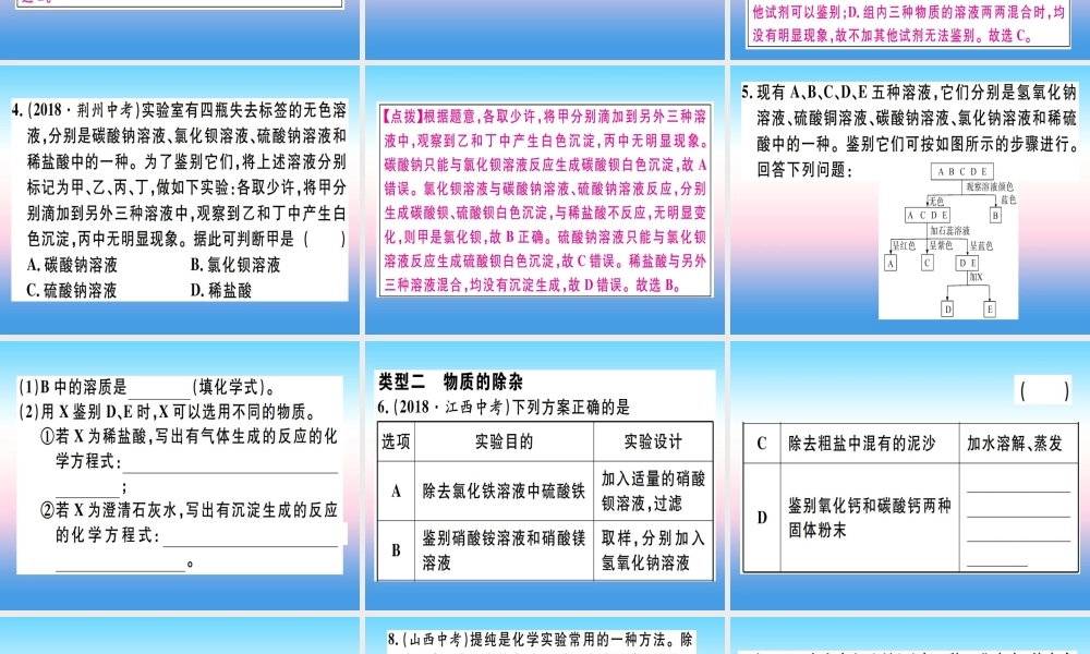 九年级化学下册 专题五 物质的检验与鉴别、除杂与共存习题课件 (新版)新人教版 课件