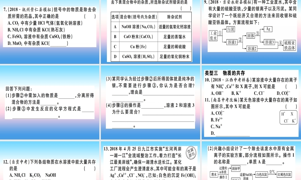 九年级化学下册 专题五 物质的检验与鉴别、除杂与共存习题课件 (新版)新人教版 课件