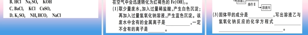 九年级化学下册 专题五 物质的检验与鉴别、除杂与共存习题课件 (新版)新人教版 课件