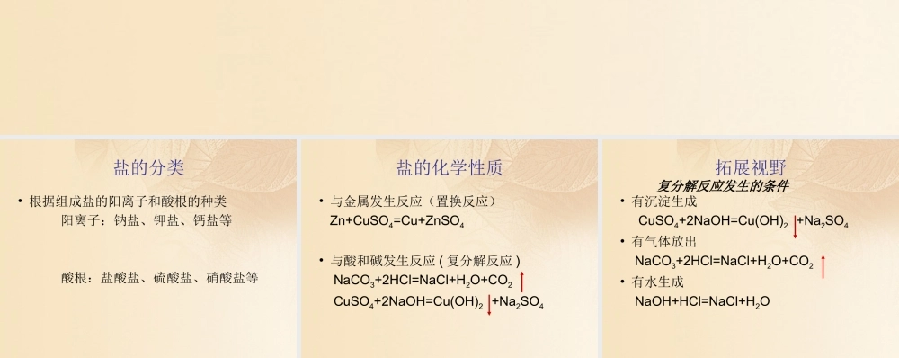 九年级化学下册 84 常用的盐 盐的组成和化学性质素材 (新版)粤教版 素材