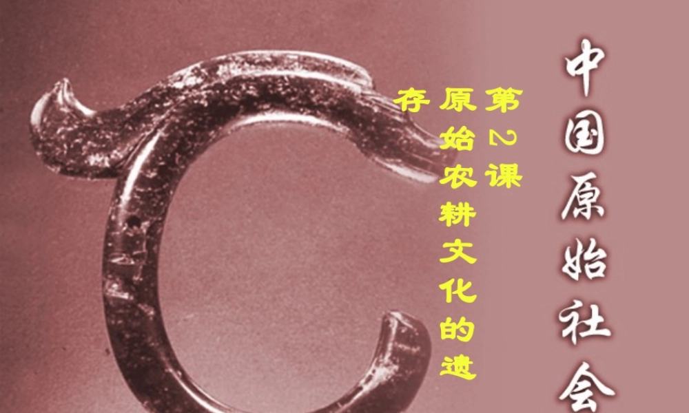 七年级历史 第一学习主题(中华文明起源)第2课(原始农耕文化的遗存)课件