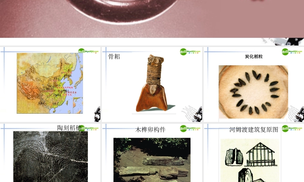 七年级历史 第一学习主题(中华文明起源)第2课(原始农耕文化的遗存)课件