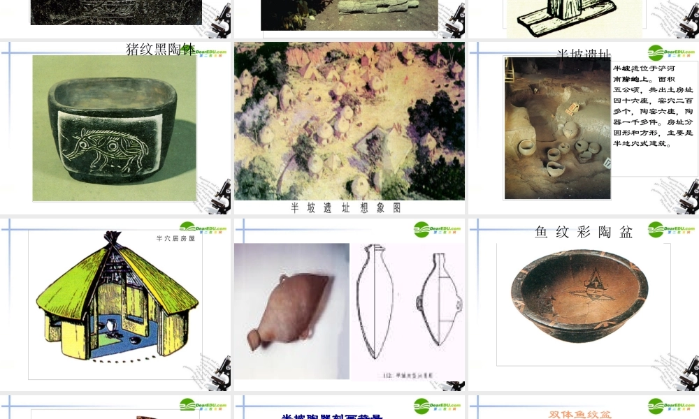 七年级历史 第一学习主题(中华文明起源)第2课(原始农耕文化的遗存)课件