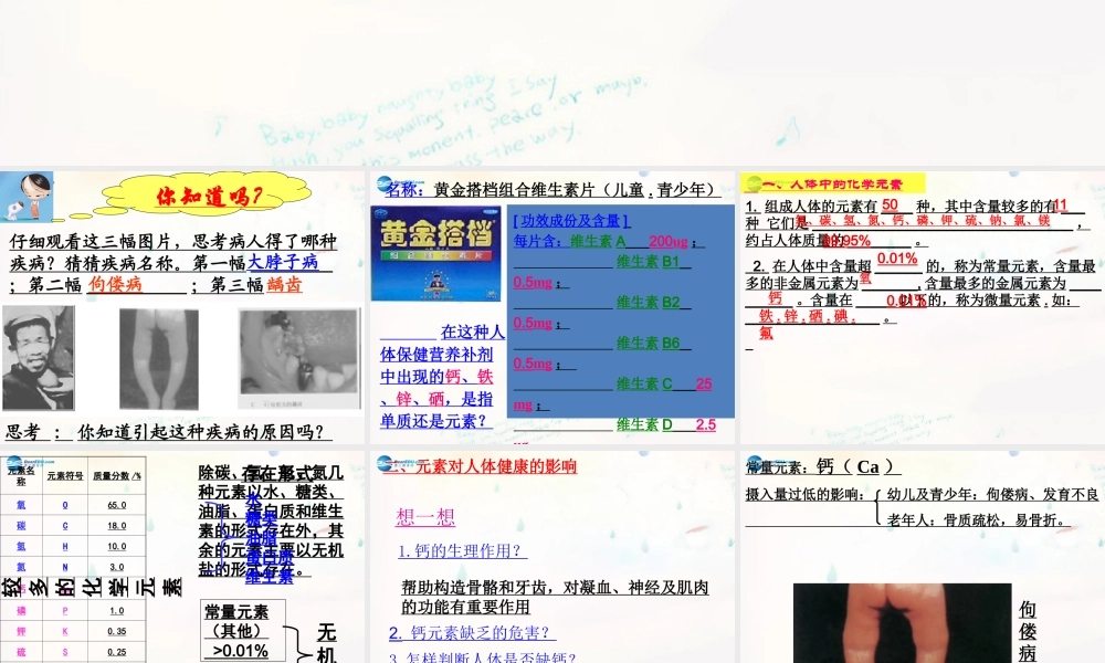 九年级化学下册 102 化学元素与人体健康课件 (新版)鲁教版 课件