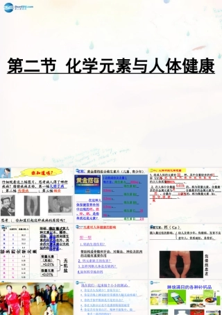 九年级化学下册 102 化学元素与人体健康课件 (新版)鲁教版 课件