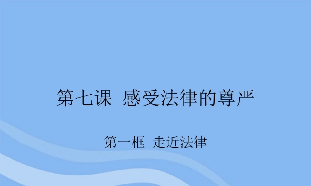 七年级政治下册 第七课(感受法律的尊严)课件 人教新课标版 课件