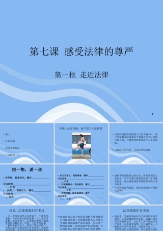 七年级政治下册 第七课(感受法律的尊严)课件 人教新课标版 课件