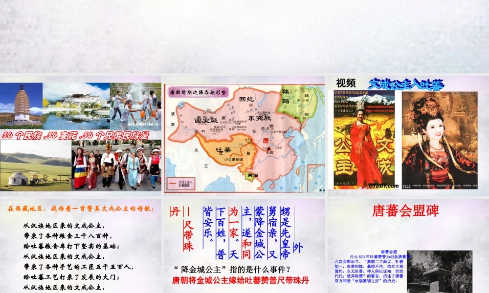 七年级历史下册 第5课 和同为一家课件 新人教版 课件