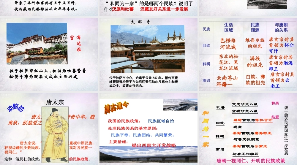 七年级历史下册 第5课 和同为一家课件 新人教版 课件