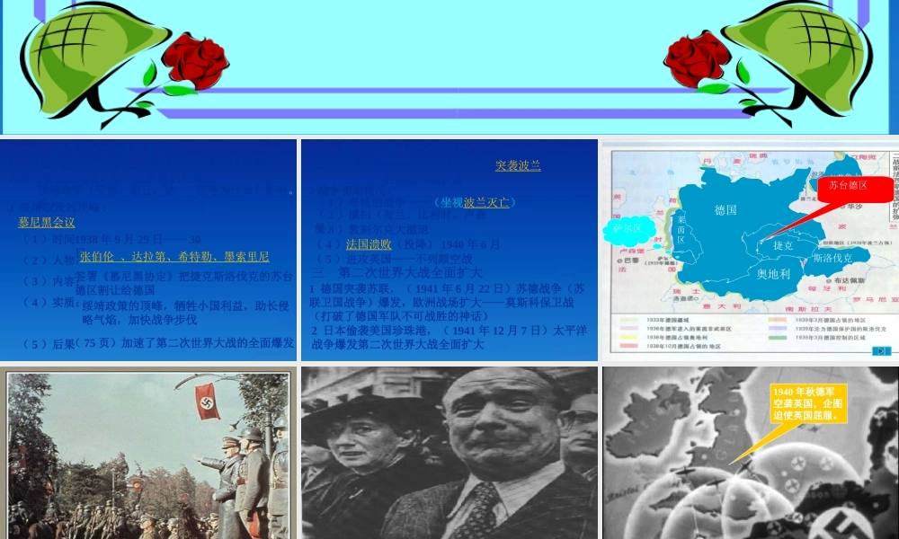 九年级历史下册 313(第二次世界大战全面爆发)课件 华东师大版 课件