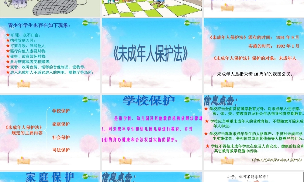 七年级政治下册 法律护我成长课件 苏教版 课件