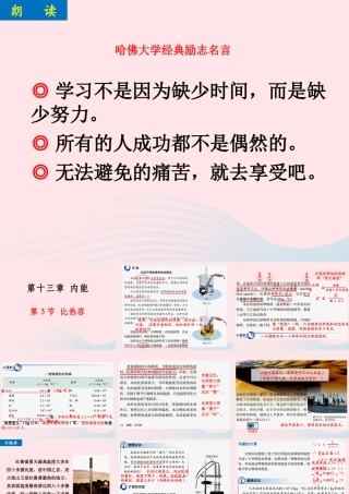 133比热容课件 九年级物理全册 13.3比热容课件+素材 (新版)新人教版