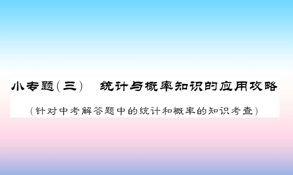 (课标版通用)中考数学总复习 第二轮 小专题集训 题型专攻 小专题(三)习题课件
