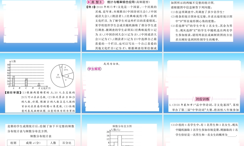 (课标版通用)中考数学总复习 第二轮 小专题集训 题型专攻 小专题(三)习题课件