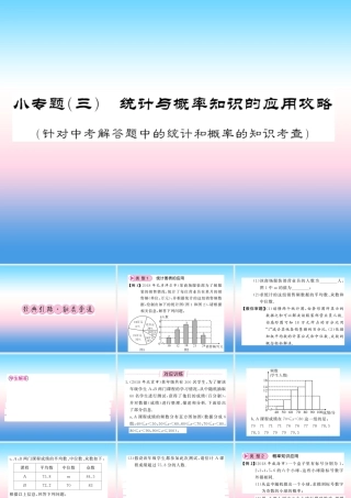 (课标版通用)中考数学总复习 第二轮 小专题集训 题型专攻 小专题(三)习题课件