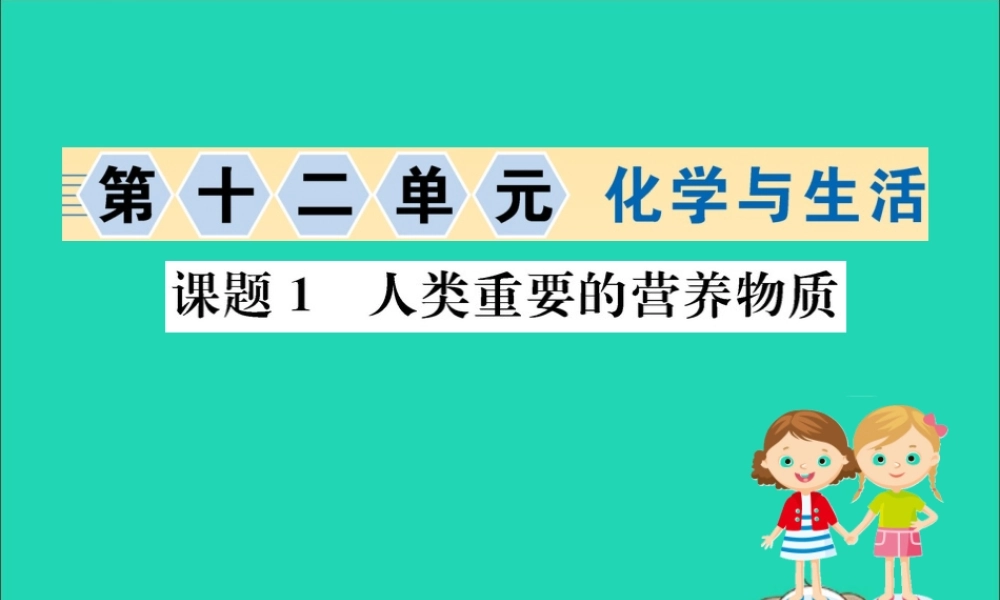 九年级化学下册 第十二单元 化学与生活 121 人类重要的营养物质训练课件 (新版)新人教版 课件