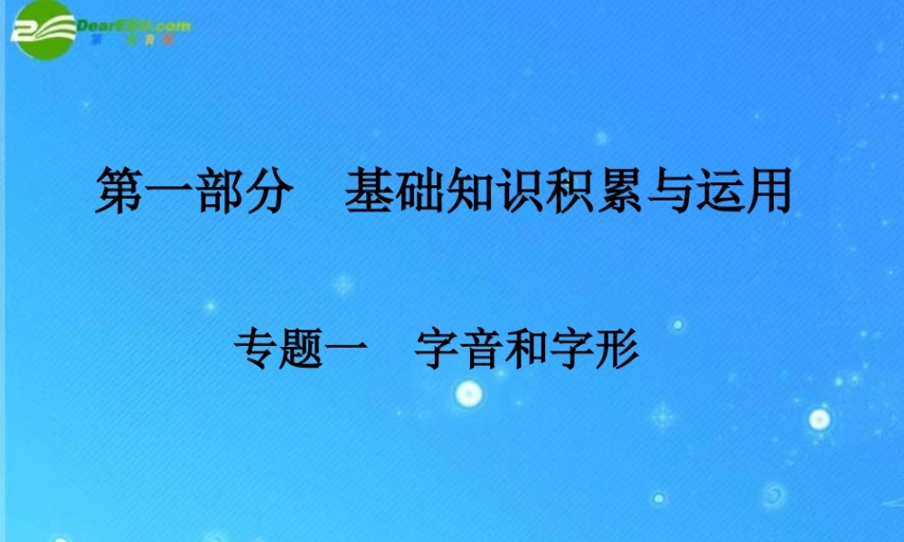 中考语文复习 字音和字形课件