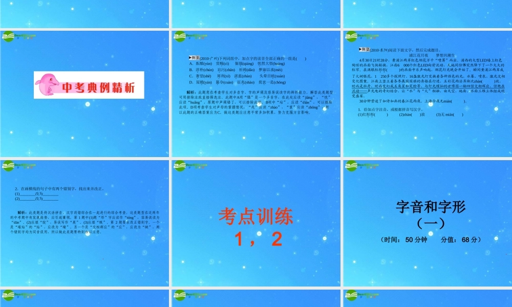 中考语文复习 字音和字形课件