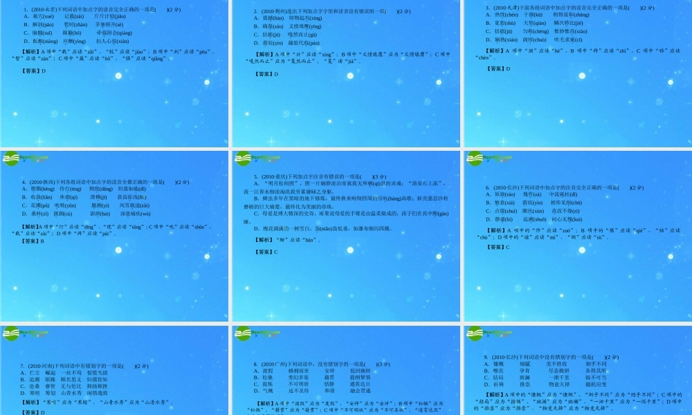 中考语文复习 字音和字形课件