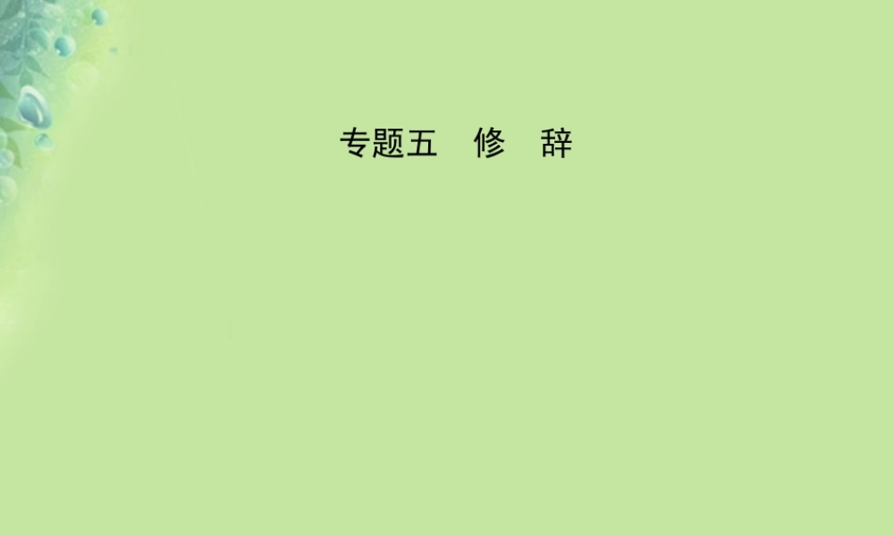 中考语文 专题五 修辞课件