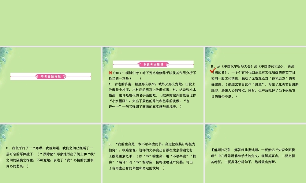 中考语文 专题五 修辞课件