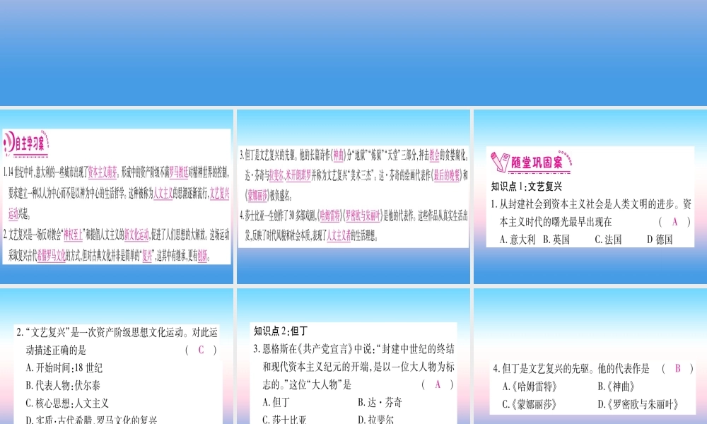 九年级历史上册 第5单元 步入近代 第14课 文艺复兴运动习题课件 新人教版 课件