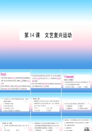 九年级历史上册 第5单元 步入近代 第14课 文艺复兴运动习题课件 新人教版 课件