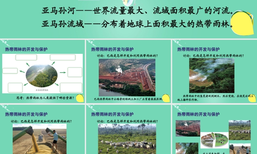 七年级地理下册 10.7 巴西——南美洲面积最大的国家 热带雨林作用与危机课件 晋教版 课件