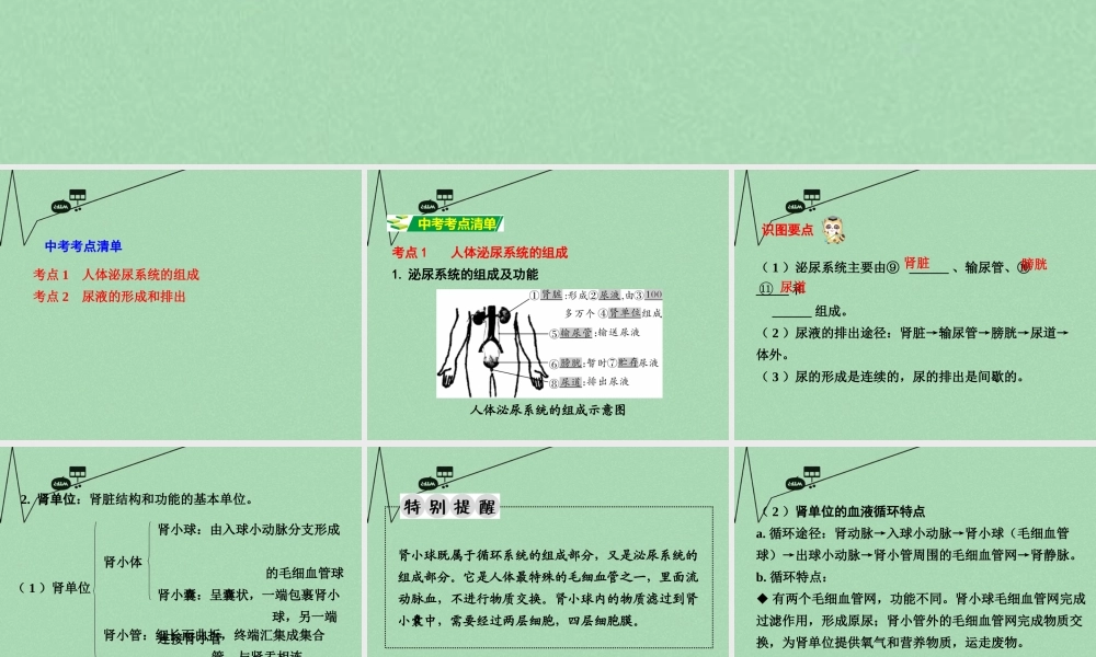 中考生物 第一部分 教材知识梳理 第4单元 第11章 人体内的废物排入环境复习课件 苏教版 课件