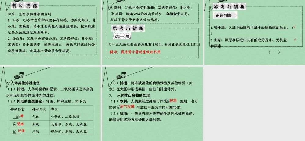 中考生物 第一部分 教材知识梳理 第4单元 第11章 人体内的废物排入环境复习课件 苏教版 课件