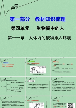 中考生物 第一部分 教材知识梳理 第4单元 第11章 人体内的废物排入环境复习课件 苏教版 课件
