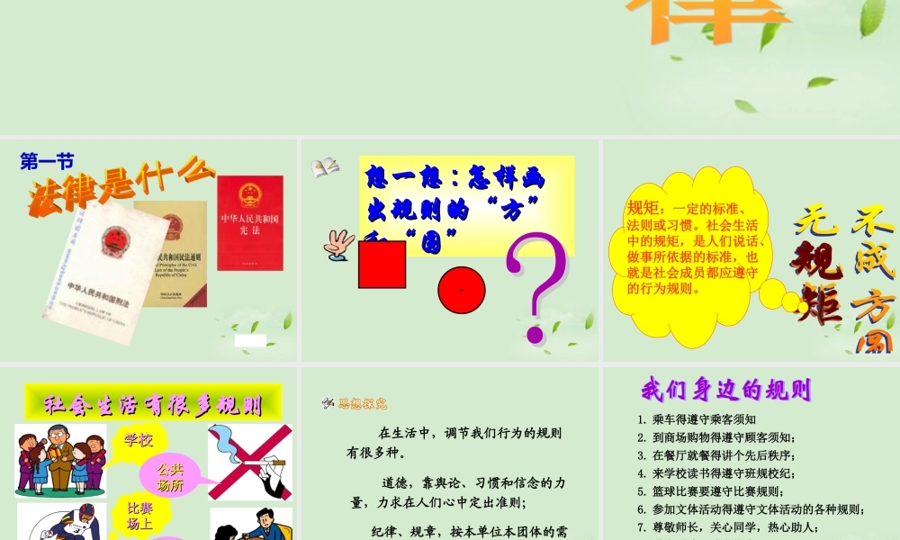 七年级政治上册(法律是什么)课件 湘师版 课件