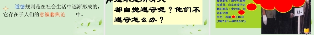 七年级政治上册(法律是什么)课件 湘师版 课件