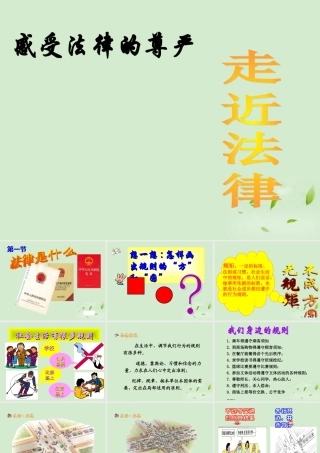 七年级政治上册(法律是什么)课件 湘师版 课件