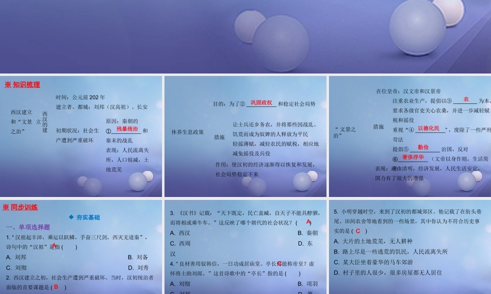 七年级历史上册 第3单元 秦汉时期 统一多民族国家的建立和巩固 第11课 西汉的建立和 文景之治 课件 新人教版 课件